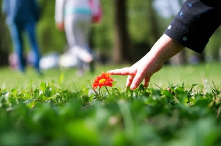 Birth Control Storage Facts: Temperature Requirements and Stability You Need to Know