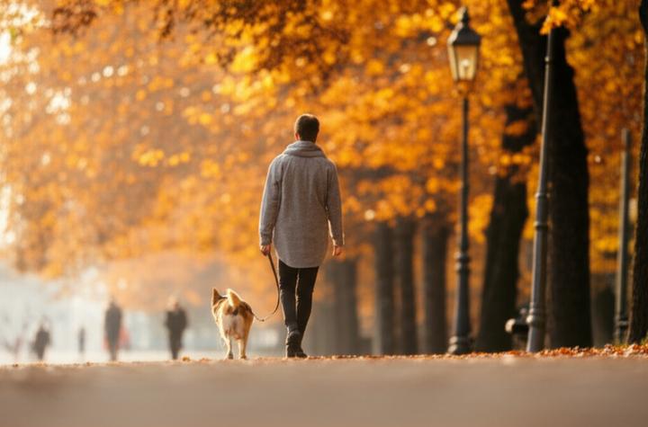 Thriving with Narcolepsy in College: A Comprehensive Guide to Academic Success