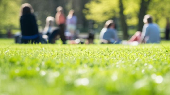 From Surviving to Thriving: A Comprehensive Guide for People Living with Severe Anxiety Disorders