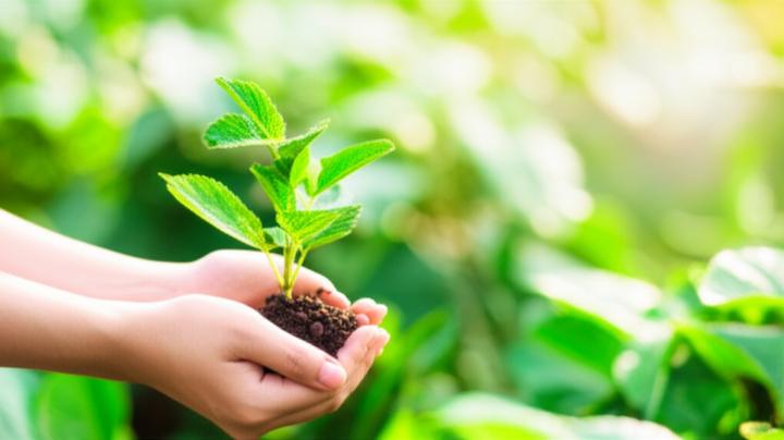 From Trauma to Triumph: Healing Childhood Wounds in Adulthood