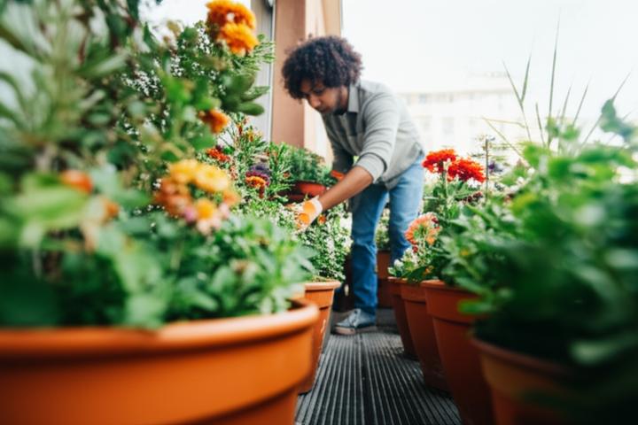 Postpartum Birth Control Options: Finding What Works for Your Changing Body