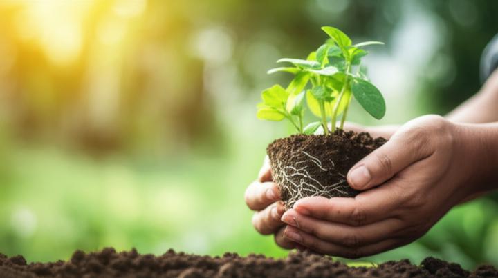 Finding Peace in Noise: How Sound-Blocking Technology Helps Manage Anxiety and Sensory Sensitivity