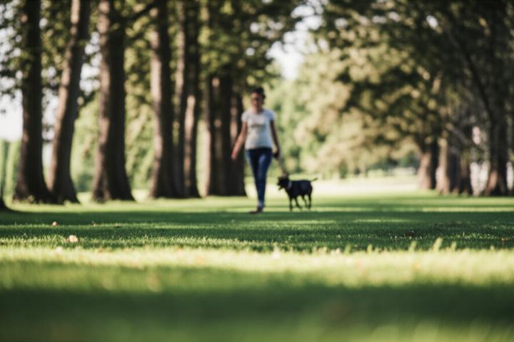 Reverse Agoraphobia: When Indoor Spaces Trigger Anxiety After Loss