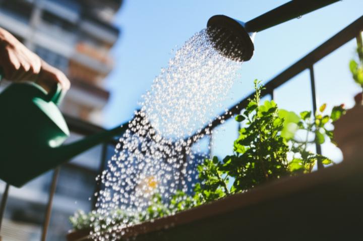 From Derealization to Recovery: Managing Severe Anxiety and Health Fears