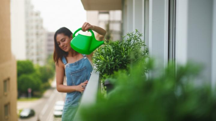 Breaking Free From Anxiety: Managing Intrusive Thoughts and Guilt For Young Adults