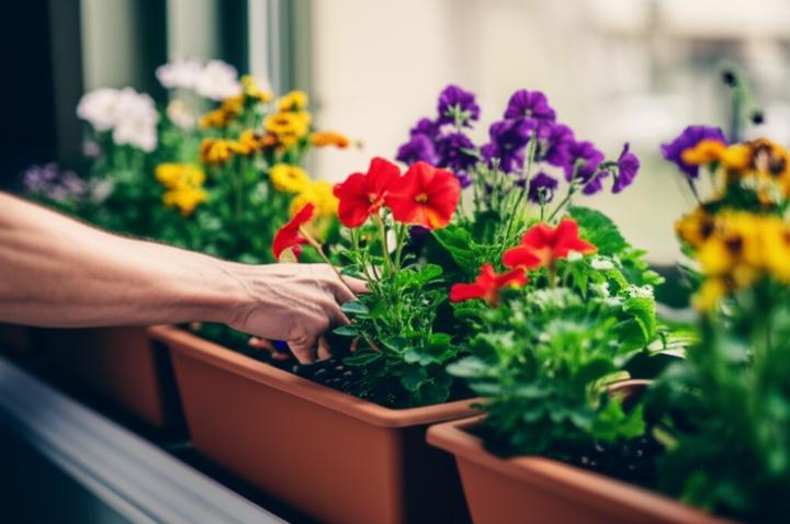 Navigating OCD Diagnosis: Self-Advocacy When Facing Family Skepticism