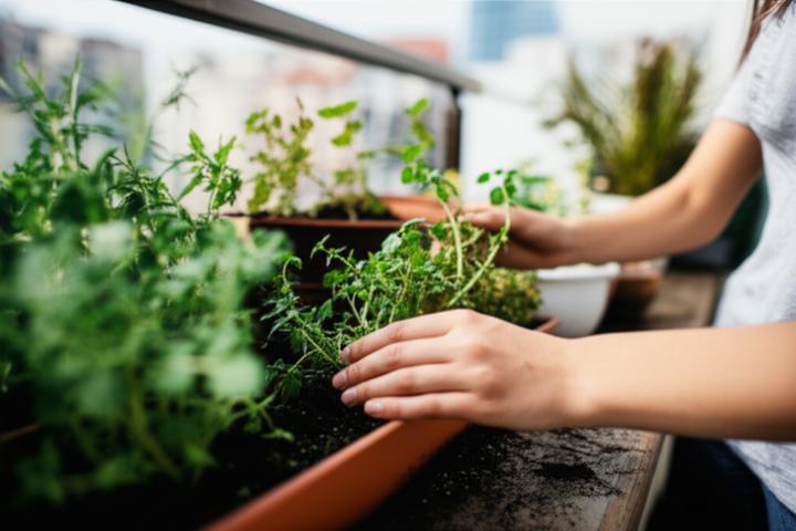 Small Victories Matter: How Basic Self-Care Can Break the Depression Cycle