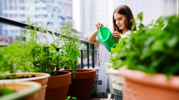 Navigating Hybrid Skin Conditions: When Psoriasis and Eczema Overlap