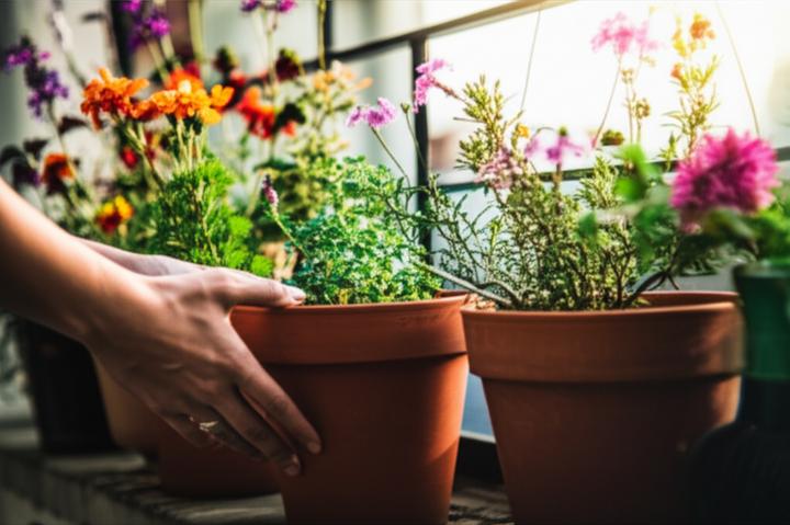 When Therapy Doesn't Click: Recognizing and Addressing a Therapeutic Mismatch