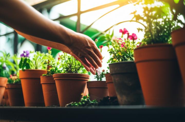 The Truth About Short Sleeper Syndrome: When Less Sleep Is Actually Enough