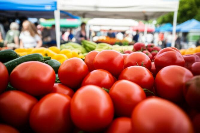 Healing from Real Event OCD: A Path to Self-Forgiveness After Past Mistakes