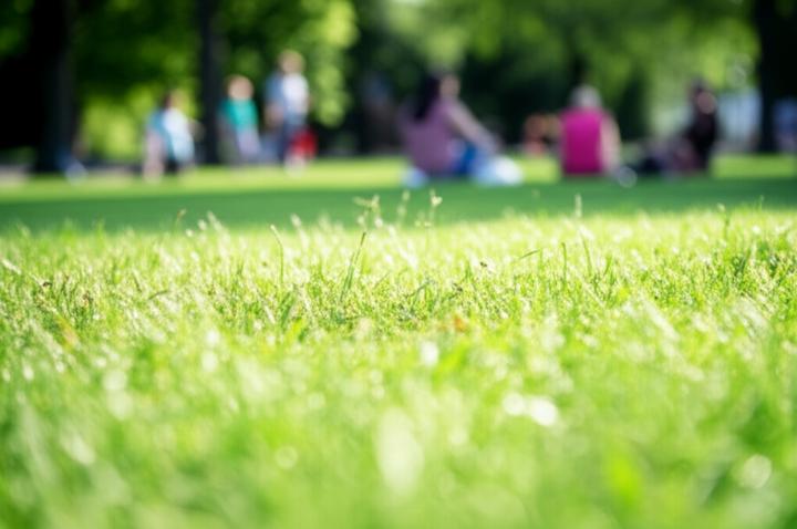 The Future of Narcolepsy Treatment: How Orexin Agonists Could Transform Patient Lives