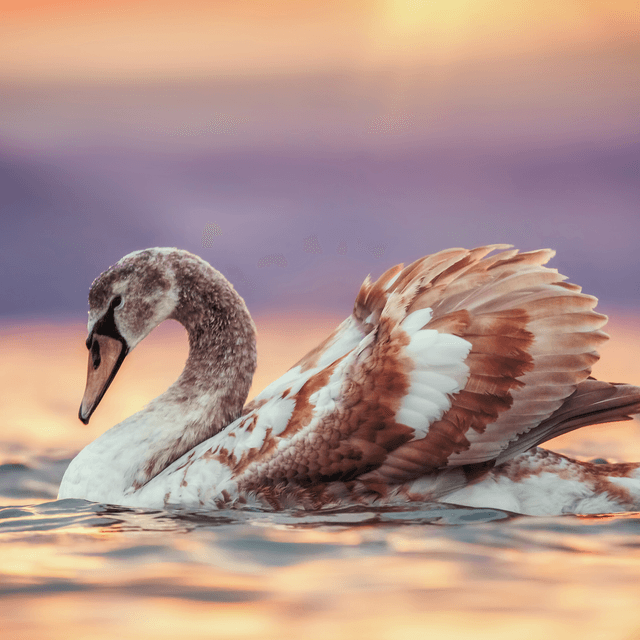 Anthonia Okafor, NP, medical provider specialize in Women's Health, Weight Loss, Men's Health, Infections, Preventive & Primary Care