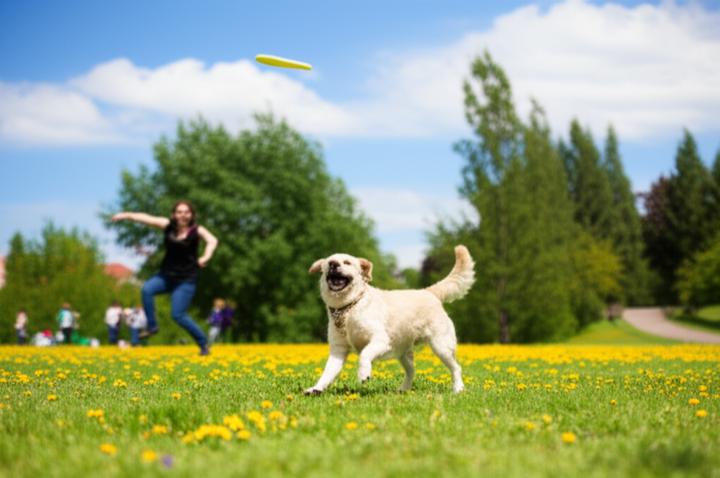 Beyond Pills: Understanding the Root Causes of Insomnia and Comprehensive Treatment Approaches