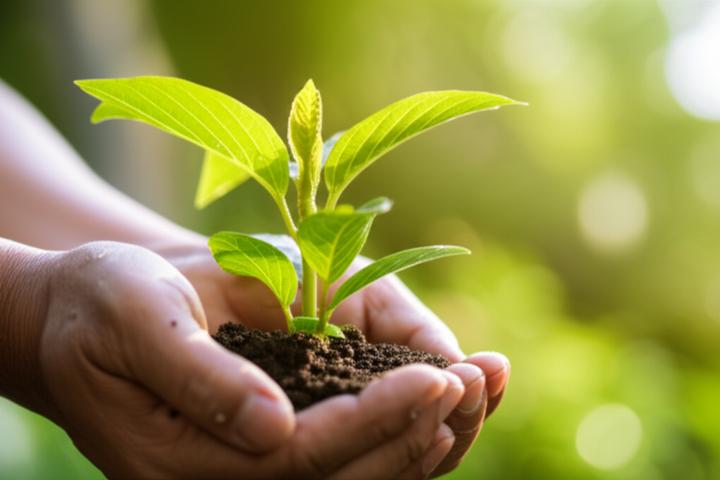 Finding Nighttime Peace: How to Quiet Racing Thoughts and Work Anxiety for Better Sleep