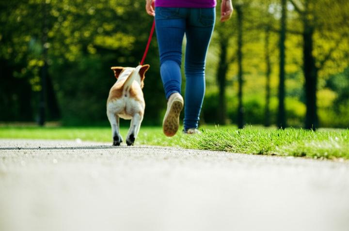 5 Mobile Games for Morning Anxiety Relief: Digital Distraction Techniques That Actually Work