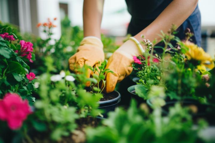 Thought Neutralization: Understanding and Managing Intrusive Thoughts