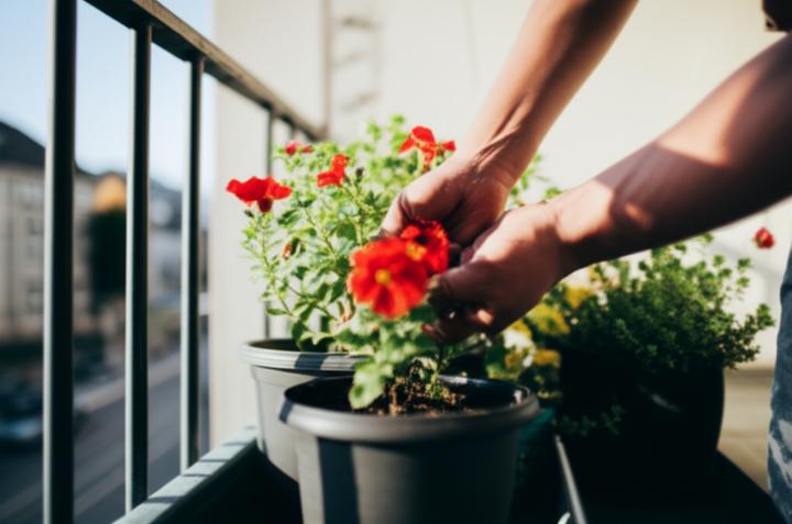 Breaking the Z-Drug Cycle: How to Reduce Dependency on Sleep Medications