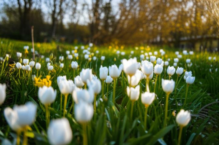 Health Anxiety in Teens: Understanding Fears, Symptoms, and Finding Help