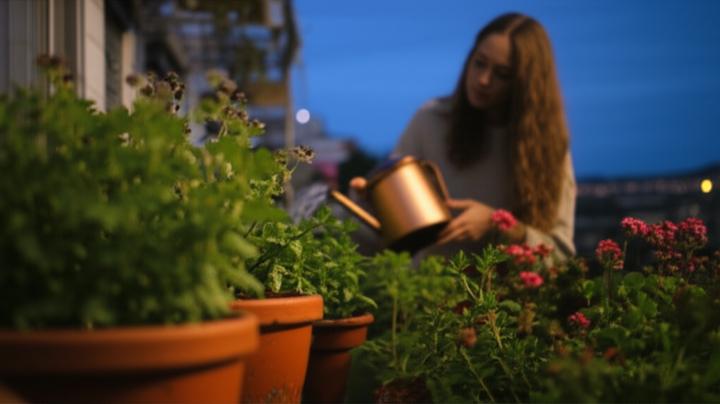 Beyond Tired: Uncovering the Hidden Causes of Fatigue in Health-Conscious Young Adults